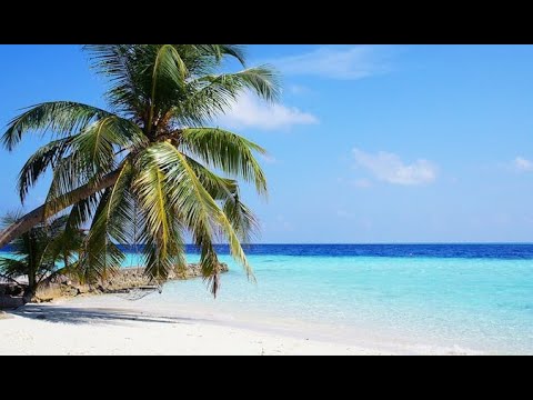 Micronation The Empire of Calypso Songs 1. 1 hour of tropical music.
