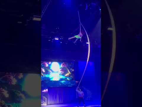 Aerial Rope Act The Little Mermaid @Disneyonice #fypシ゚viral #disney #disneyprincess