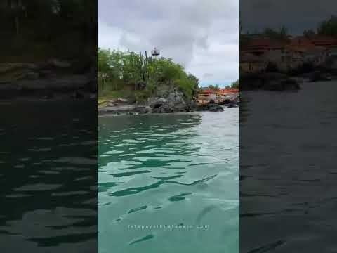 De visita a Isla Grande 🏝️ #Ixtapa