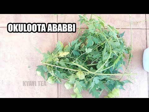 Okuloota Ababbi nga Bakubba Ewaka Mwoyo Abela Alina Byakutegeza Binno