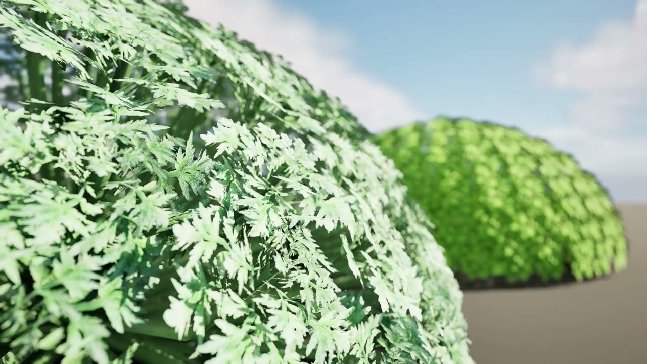 Silver Mound Artemisia 3D Model