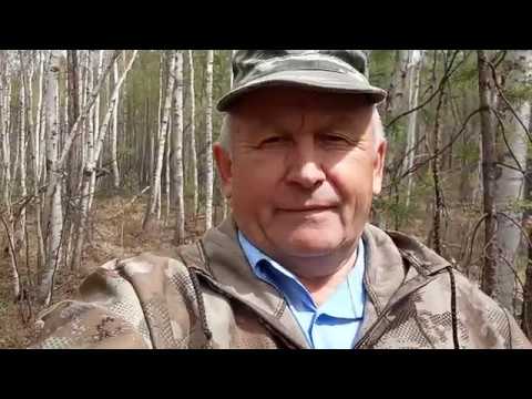 Золото Забайкалья