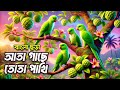 আতা গাছে তোতা পাখি Ata Gache Tota Pakhi Bangla 3D Cartoon Hutum School