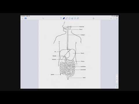 Physiology of Vomiting Part 1
