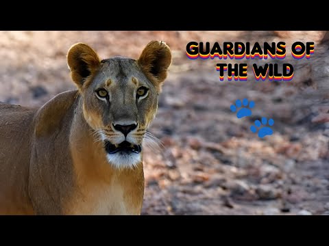 🐘 Guardians of The Wild: | Elephant Rescue | Wildlife Documentary 🌱🦒