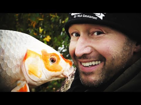 Carp stalking - šoulačka na kapry