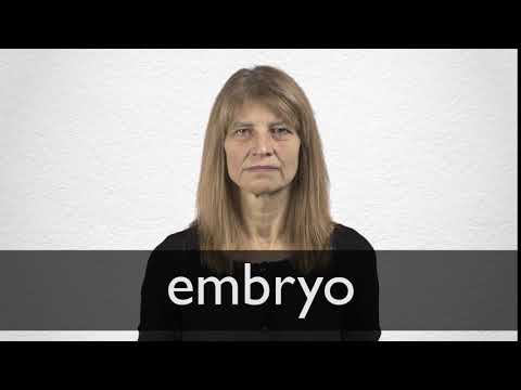 EMBRYO definition and meaning | Collins English Dictionary
