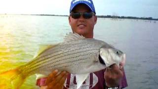 preview picture of video 'Big wiper caught at El Dorado lake while spoon fishing'