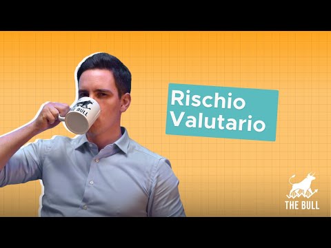 Rischio Valutario: cos’è e come influisce sui tuoi investimenti | The Bull
