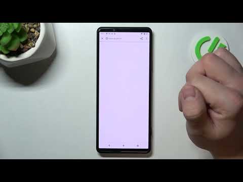 How to Operate Google Payment App in Sony Xperia Pro I - Use Google Pay