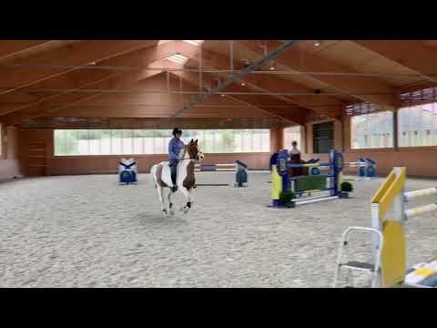 Emma und Harold - Springen ohne Sattel