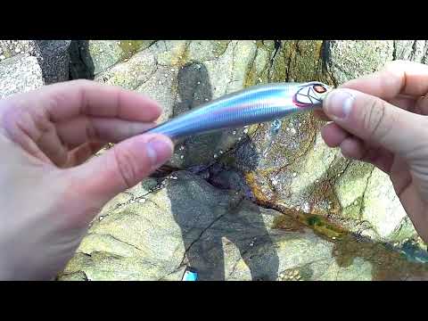 Presentation of the Daiwa Seabass Minnow F & Swim action