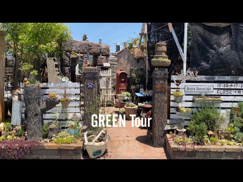 屋外の多肉植物: 庭に美しい多肉植物を植えるにはどうすればよいですか?  庭園