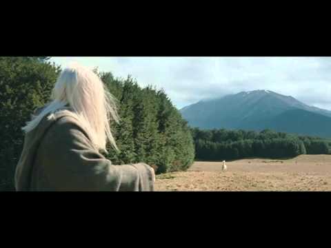 Lord of the rings - Shadowfax