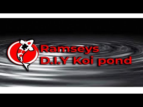 Just A Quick Check In 👍⛩️🐟