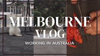 【メルボルン🇦🇺vlog】 オーストラリア メルボルンでのマーケティングの仕事。 ワーホリから留学をへてメルボルンのとあるオフィスでマーケターとして働く日。