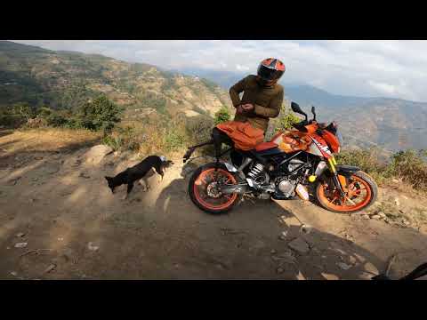 Dog Lover @bannistervlogs22 #fypシ゚viral #doglover #foryoupage #keepsupporting #travel #gopro