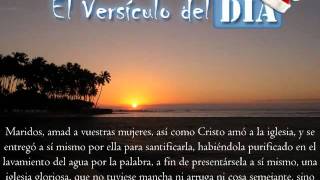 Miniatura del video: El versiculo del dia .com - Efesios 5 v25-27