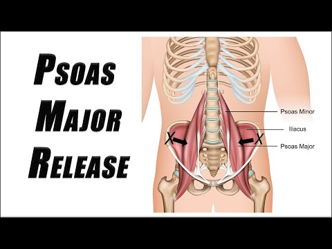 Excellent SELF Manual Release Technique for PSOAS MAJOR | Relieve Hip Flexor Tightness