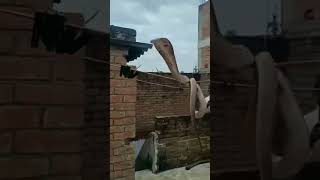 Download lagu #sawan ke jhulo ne mujh ko pukara#🌧🌧🌧main pardesi ghar 🪱🪱 mp3