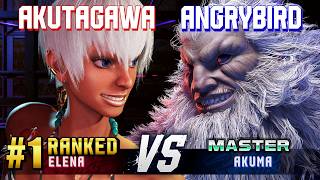 SF6 ▰ AKUTAGAWA (#1 Ranked Elena) vs ANGRYBIRD (Akuma) ▰ High Level Gameplay