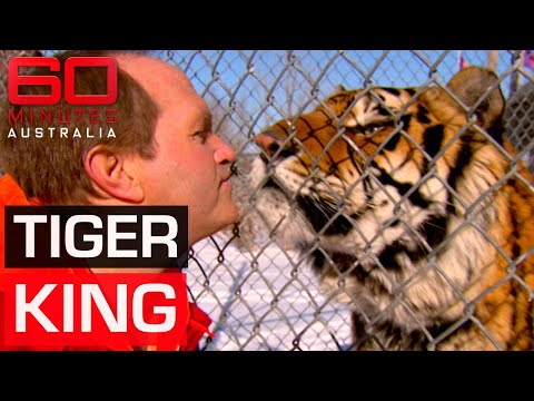America’s bizarre obsession with owning exotic animals | 60 Minutes Australia