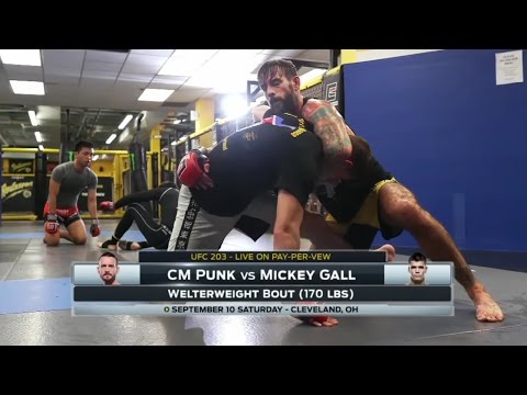 Fight-size MMA Update: UFC on FOX Gate And Bonuses, Pitbull X-Ray, Podcast, PVZ, UFC 203