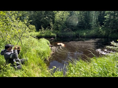 7 erilaista OTTIPAIKKAA rannalta - Mistä kalat löytyvät -  hauen kalastus - ahvenen kalastus