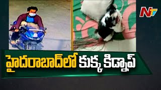 హైదరాబాద్ లో జాతి కుక్క కిడ్నాప్ కలకలం | Dog Goes Missing In Hyderabad |