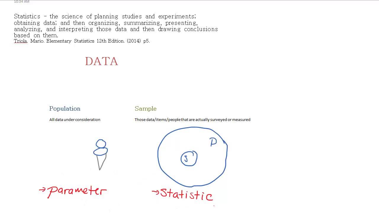 Basic Statistics Vocabulary