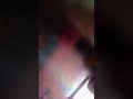 Kolkata Sonagachi Inside Room Red Girls Sonagachi Bangla Red Light Girls Area New Video Wait Fo End