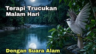 Download lagu TERAPI TRUCUKAN MALAM HARI - TERAPI TRUCUKAN STRES MACET BUNYI mp3
