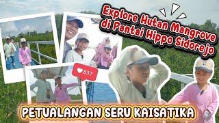 Download lagu PETUALANGAN SERU DI HUTAN MANGROVE PANTAI HIPPO | KAISATIKA EXPLORE ALAM mp3
