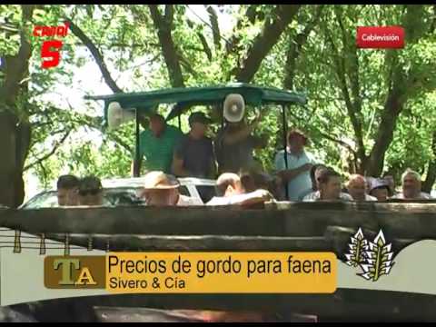 Remate de gordo de la firma Sivero & Cía de todos los martes en Saladillo