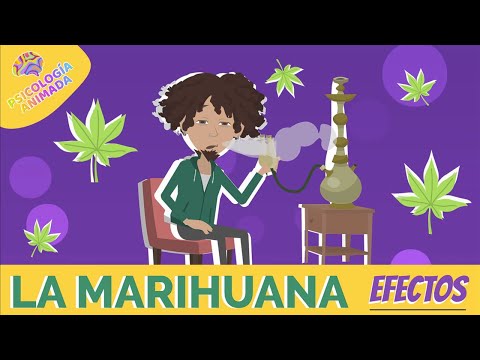 Efectos Psicológicos de la Marihuana: ¿Cómo afecta tu cerebro?