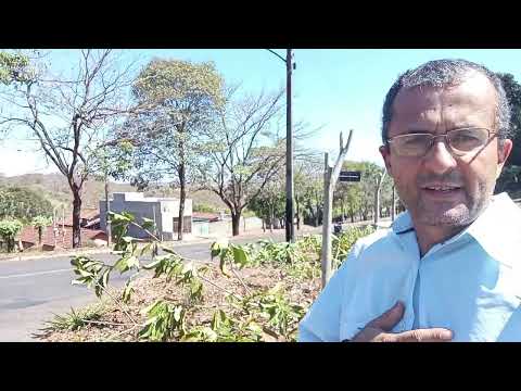 PODA CRIMINOSA GERA REVOLTA EM CERES-GO.