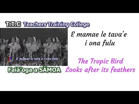 FAIAOGA SAMOA (T.T.C - Teachers Training College Samoa) : E mamae le tava'e i ona fulu