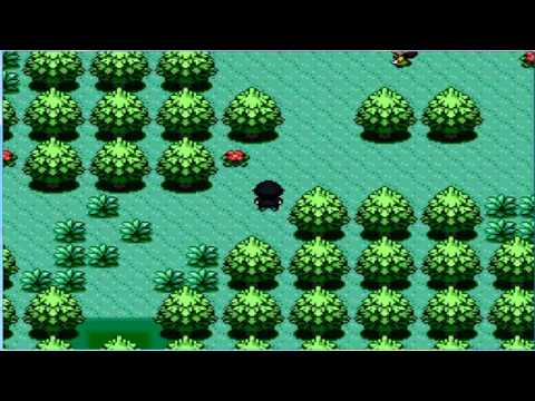 Pokémon Rejuvenation: The one who will save us all