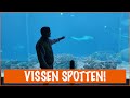 Floris loopt rond in een verlaten aquarium | DierenpraatTV