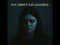 You Didn’t Say Goodbye