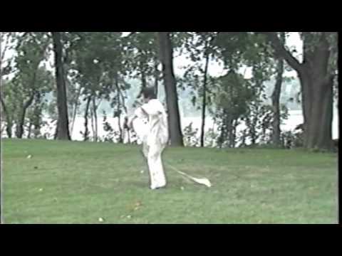 Choy Li Fut - Double Hookswords - Grandmaster Doc-Fai Wong