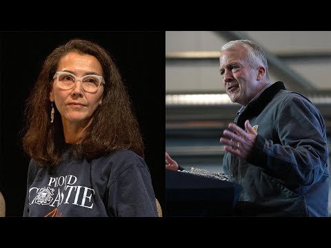 Democrats pushed to get second Dan Sullivan on Alaska ballot with Peltola's help, NYT reports