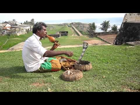 Schlangenbeschwörer - Galle - Sri Lanka