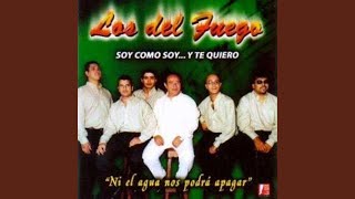 Por Seguirte la Corriente Lyrics English Translation