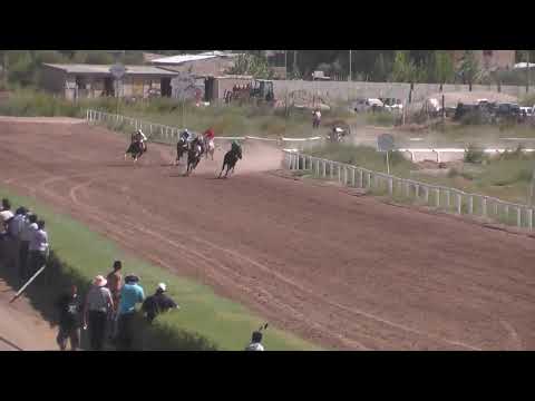 GRAN NAIPE  Jockey Club Neuquén - Neuquén - 05-03-2023