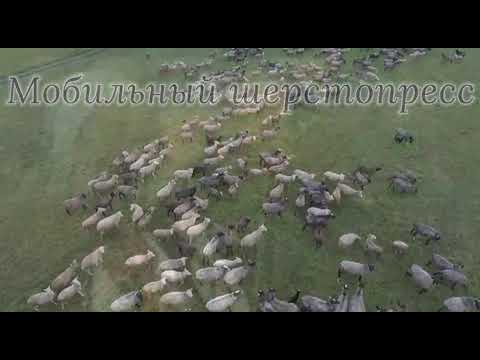 Участник 8928, -_cr8pp6AQc