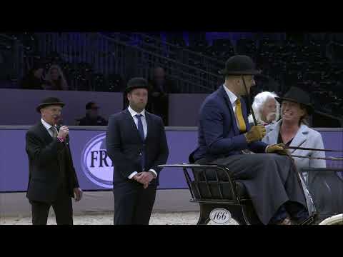 HK 2024   Final and ceremony ‘It Stiennen Hynder’   Spanish