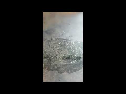 All-American STINK and GULP