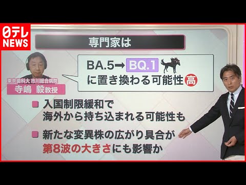 コロナ免疫:新たな研究で変異に対する防御が示唆される