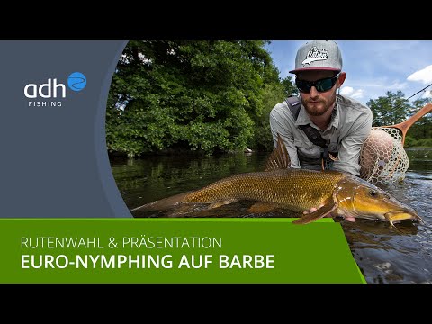Summer Barbel Fishing - Ruten und Präsentation beim Euro Nymphing (Teil 2)